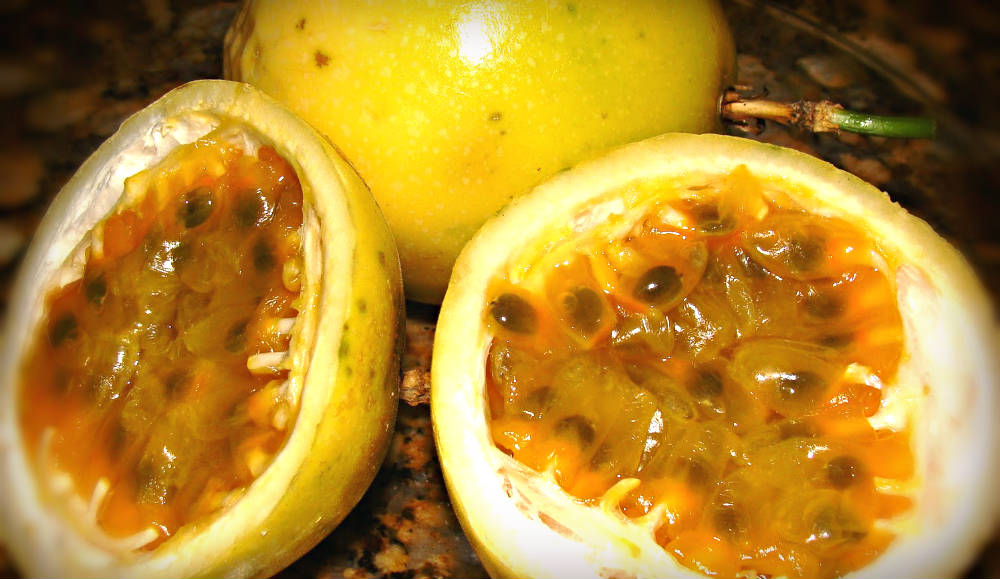 Doce de casca de maracujá Arte Reciclada Doce de casca de maracujá Arte Reciclada